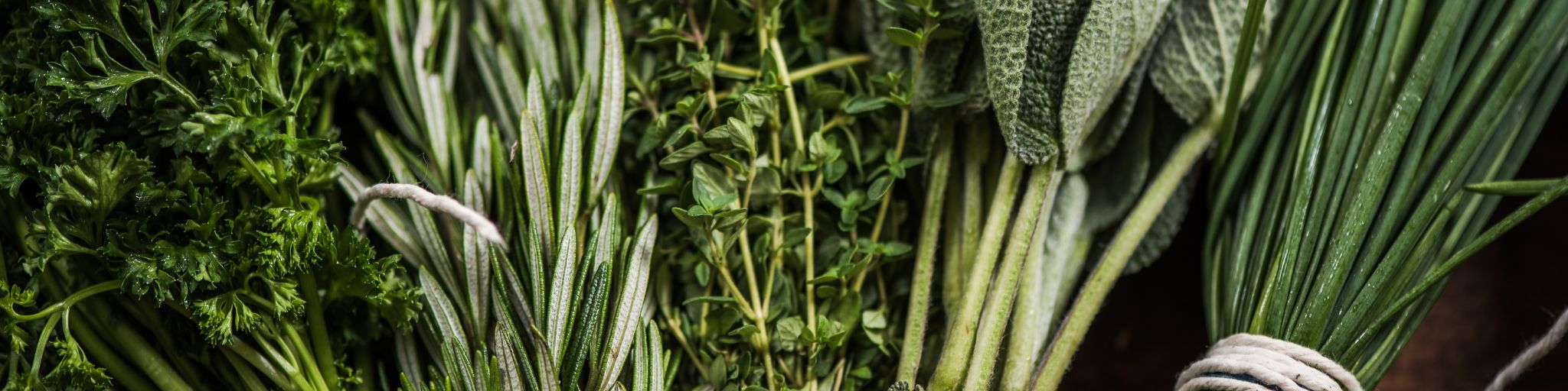 Cooking with Herbs: Fresh vs. Dried